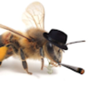 Meet your Posher, Bee